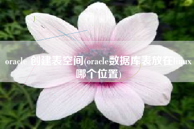oracle 创建表空间(oracle数据库表放在linux哪个位置)
