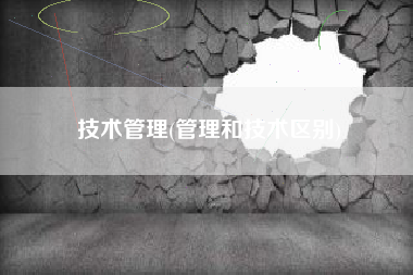 技术管理(管理和技术区别)