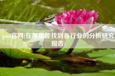 pmi官网(在哪里能找到各行业的分析研究报告)