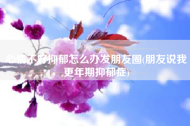 心情不好抑郁怎么办发朋友圈(朋友说我更年期抑郁症)