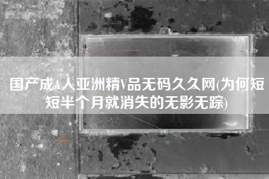 国产成A人亚洲精V品无码久久网(为何短短半个月就消失的无影无踪)