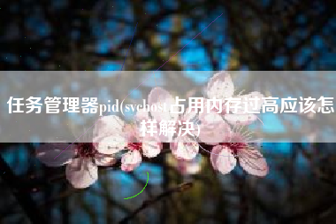 任务管理器pid(svchost占用内存过高应该怎样解决)