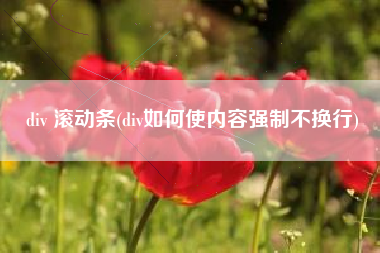 div 滚动条(div如何使内容强制不换行)