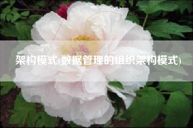 架构模式(数据管理的组织架构模式)