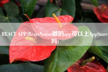 REACT APP(ReactNative做的app可以上AppStore吗)