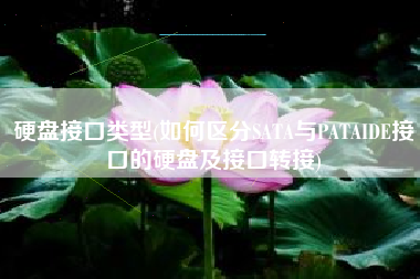 硬盘接口类型(如何区分SATA与PATAIDE接口的硬盘及接口转接)