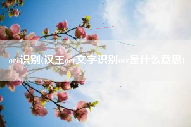 orc识别(汉王ocr文字识别ocr是什么意思)