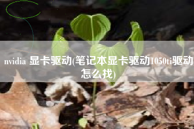 nvidia 显卡驱动(笔记本显卡驱动1050ti驱动怎么找)