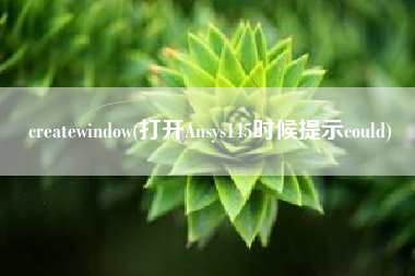createwindow(打开Ansys145时候提示could)