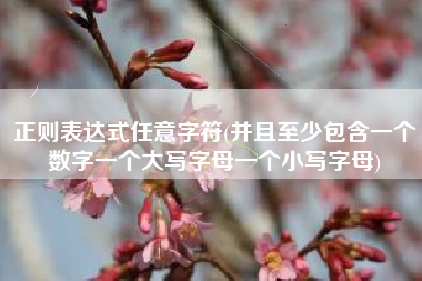 正则表达式任意字符(并且至少包含一个数字一个大写字母一个小写字母)