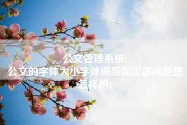 公文管理系统(
公文的字体大小字体间距和页面间距是怎样的) 公文管理系统(
公文的字体大小字体间距和页面间距是怎样的)