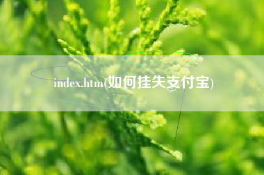 index.htm(如何挂失支付宝)