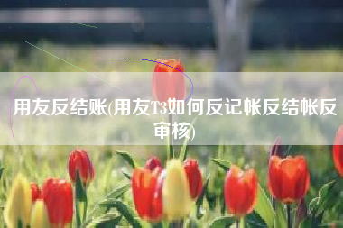 用友反结账(用友T3如何反记帐反结帐反审核)