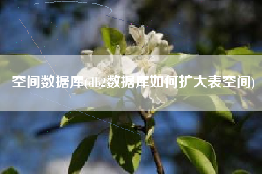 空间数据库(db2数据库如何扩大表空间)