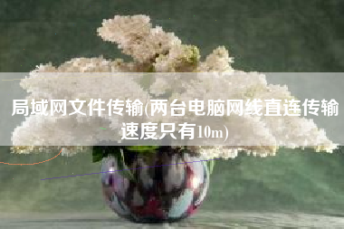 局域网文件传输(两台电脑网线直连传输速度只有10m)