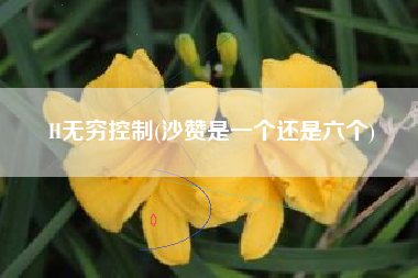 H无穷控制(沙赞是一个还是六个)