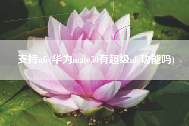 支持nfc(华为mate50有超级nfc功能吗)