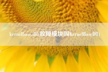 kernelbase.dll(故障模块叫KernelBaseDll)