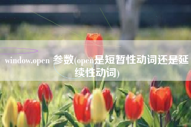 window.open 参数(open是短暂性动词还是延续性动词)