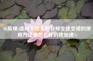 fft原理(请问下您无暇音频变速变调的使用方法是怎么样的我加速1)