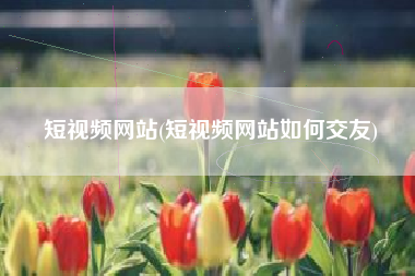 短视频网站(短视频网站如何交友)