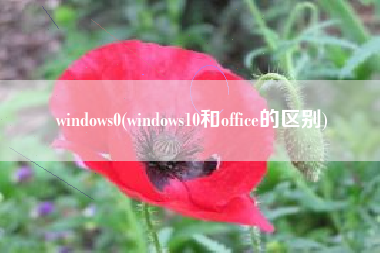 windows0(windows10和office的区别)