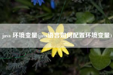 java 环境变量(java语言如何配置环境变量)