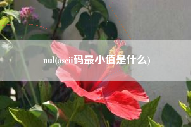 nul(ascii码最小值是什么)