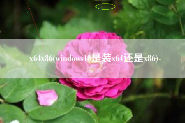 详细阅读:x64x86(windows10是装x64还是x86) x64x86(windows10是装x64还是x86)