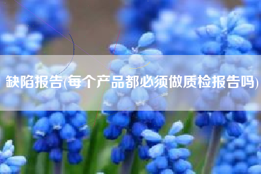缺陷报告(每个产品都必须做质检报告吗)