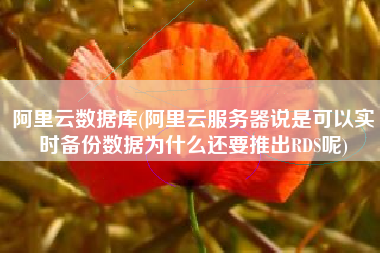 阿里云数据库(阿里云服务器说是可以实时备份数据为什么还要推出RDS呢)