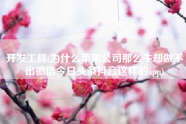 开发工具(为什么苹果公司那么牛却做不出微信今日头条抖音这样的app)