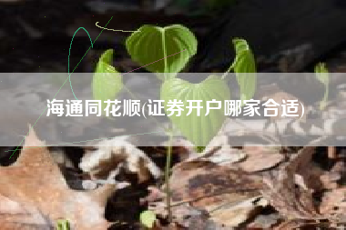 海通同花顺(证券开户哪家合适)