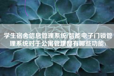学生宿舍信息管理系统(智能电子门锁管理系统对于公寓管理都有哪些功能)