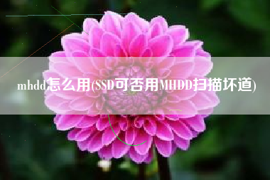 mhdd怎么用(SSD可否用MHDD扫描坏道)