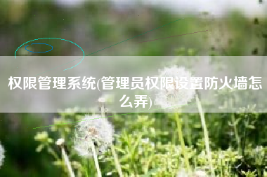 权限管理系统(管理员权限设置防火墙怎么弄)