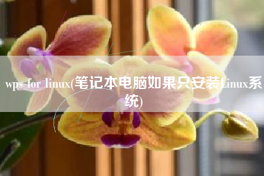 wps for linux(笔记本电脑如果只安装Linux系统)