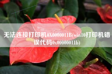 无法连接打印机0X0000011B(win10打印机错误代码0x00000011b)