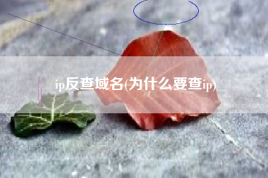 ip反查域名(为什么要查ip)