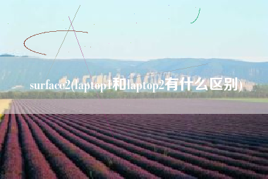 surface2(laptop1和laptop2有什么区别)