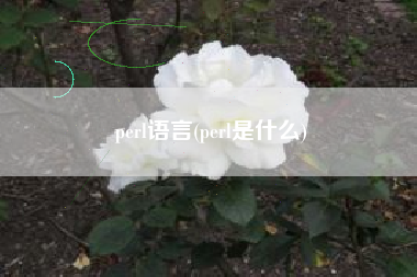 详细阅读:perl语言(perl是什么) perl语言(perl是什么)