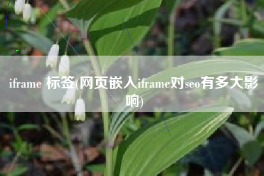 iframe 标签(网页嵌入iframe对seo有多大影响)