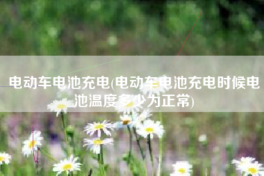 电动车电池充电(电动车电池充电时候电池温度多少为正常)