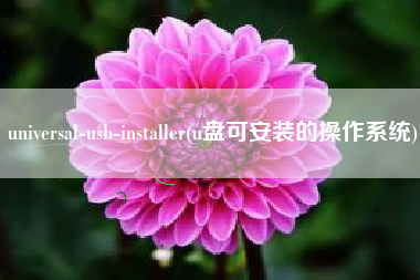 universal-usb-installer(u盘可安装的操作系统)
