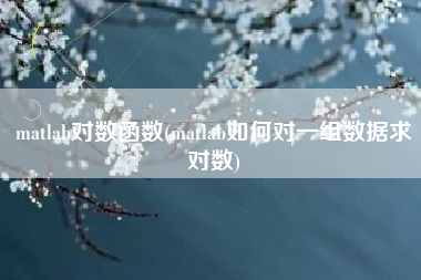 matlab对数函数(matlab如何对一组数据求对数)