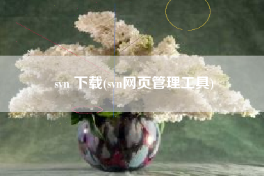 svn 下载(svn网页管理工具)