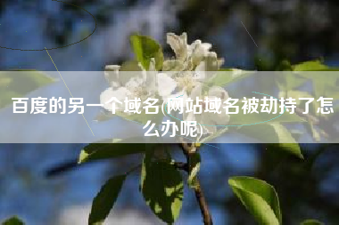 百度的另一个域名(网站域名被劫持了怎么办呢)
