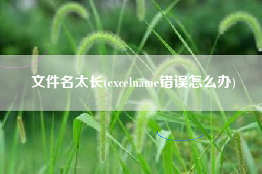 文件名太长(excelname错误怎么办)