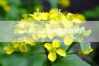 www.d7se.com(如何学习音标)
