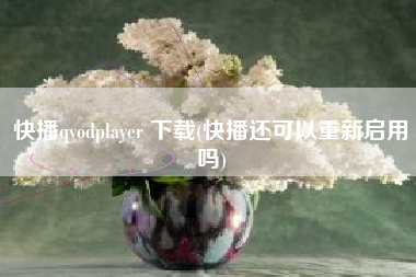 快播qvodplayer 下载(快播还可以重新启用吗)